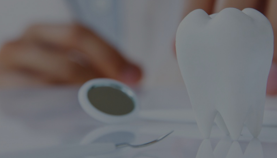 Avail Quality Dental Services from Land O’ Lakes