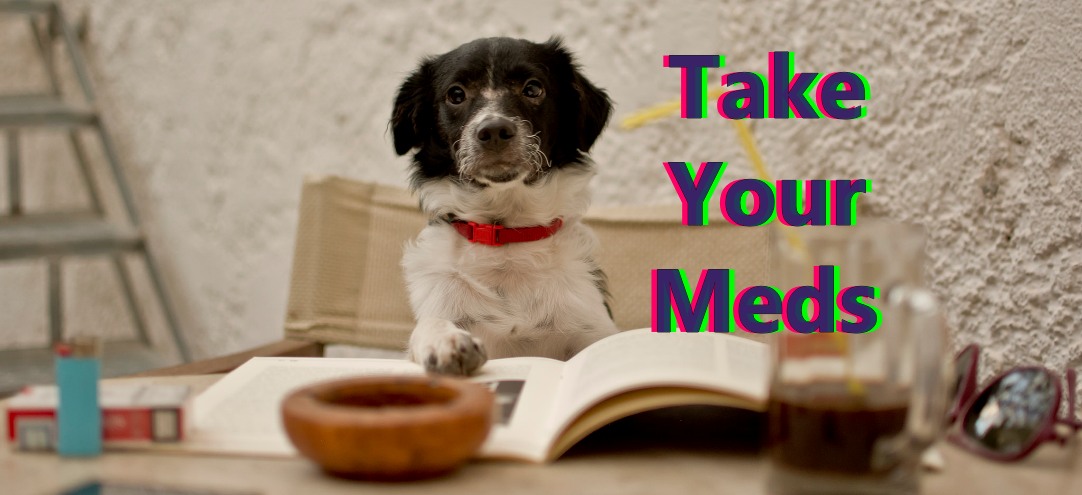 Dog-Readinag.jpg