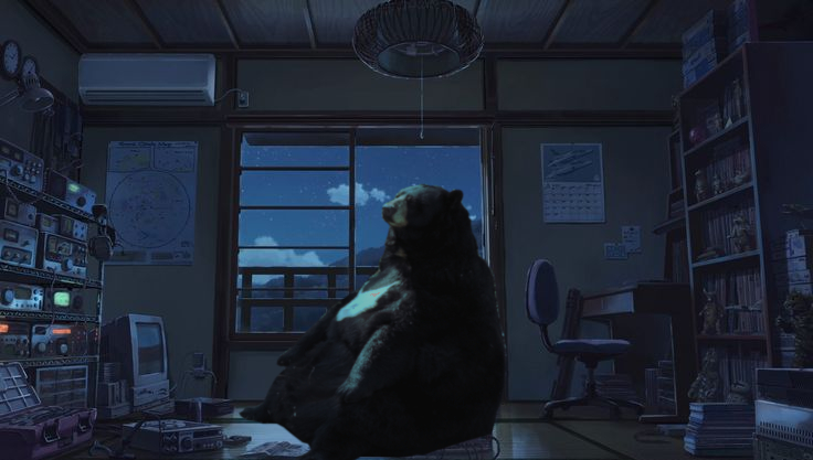 Night bear