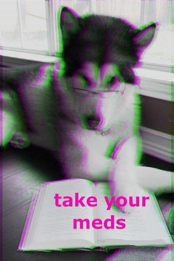 husky-dog-reading-a-book.jpg