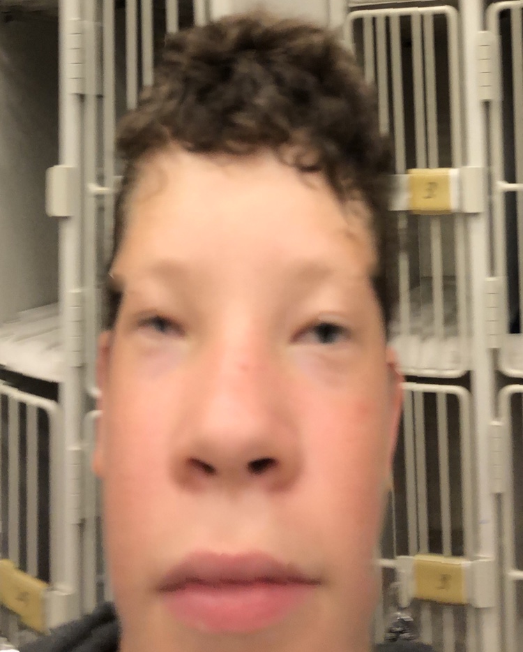 file.jpg