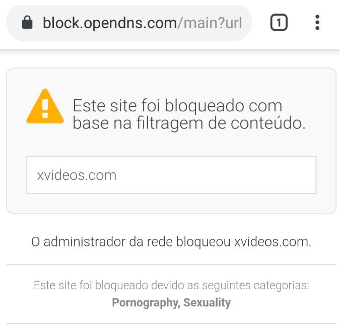 OpenDNS.JPG