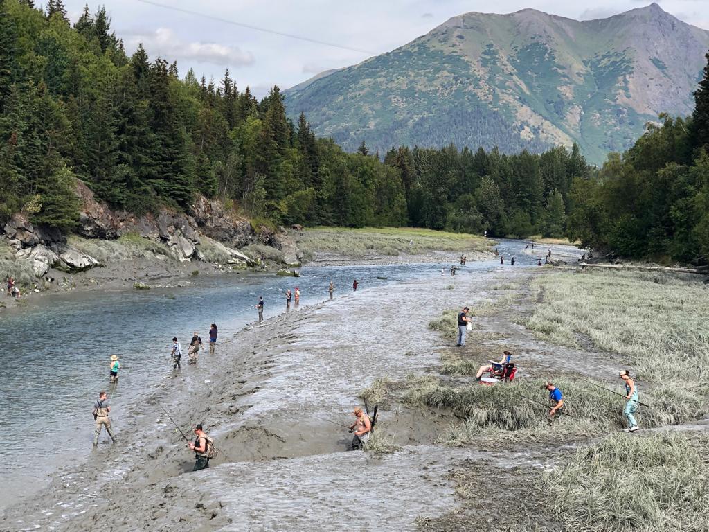 Salmon fishing in Alaska