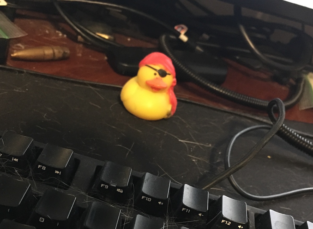 myduck.jpg