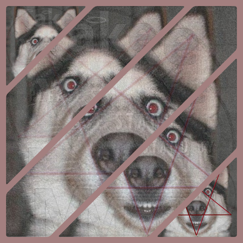 collage.png