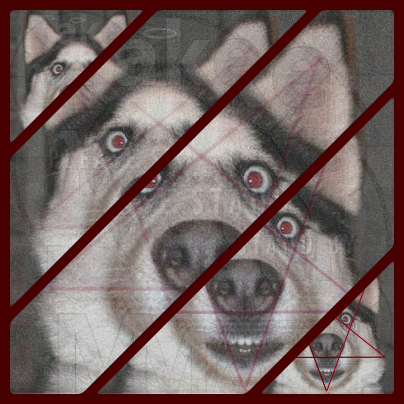 collage.png