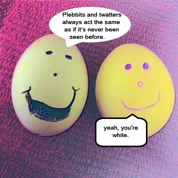 pleb_eggs.jpg