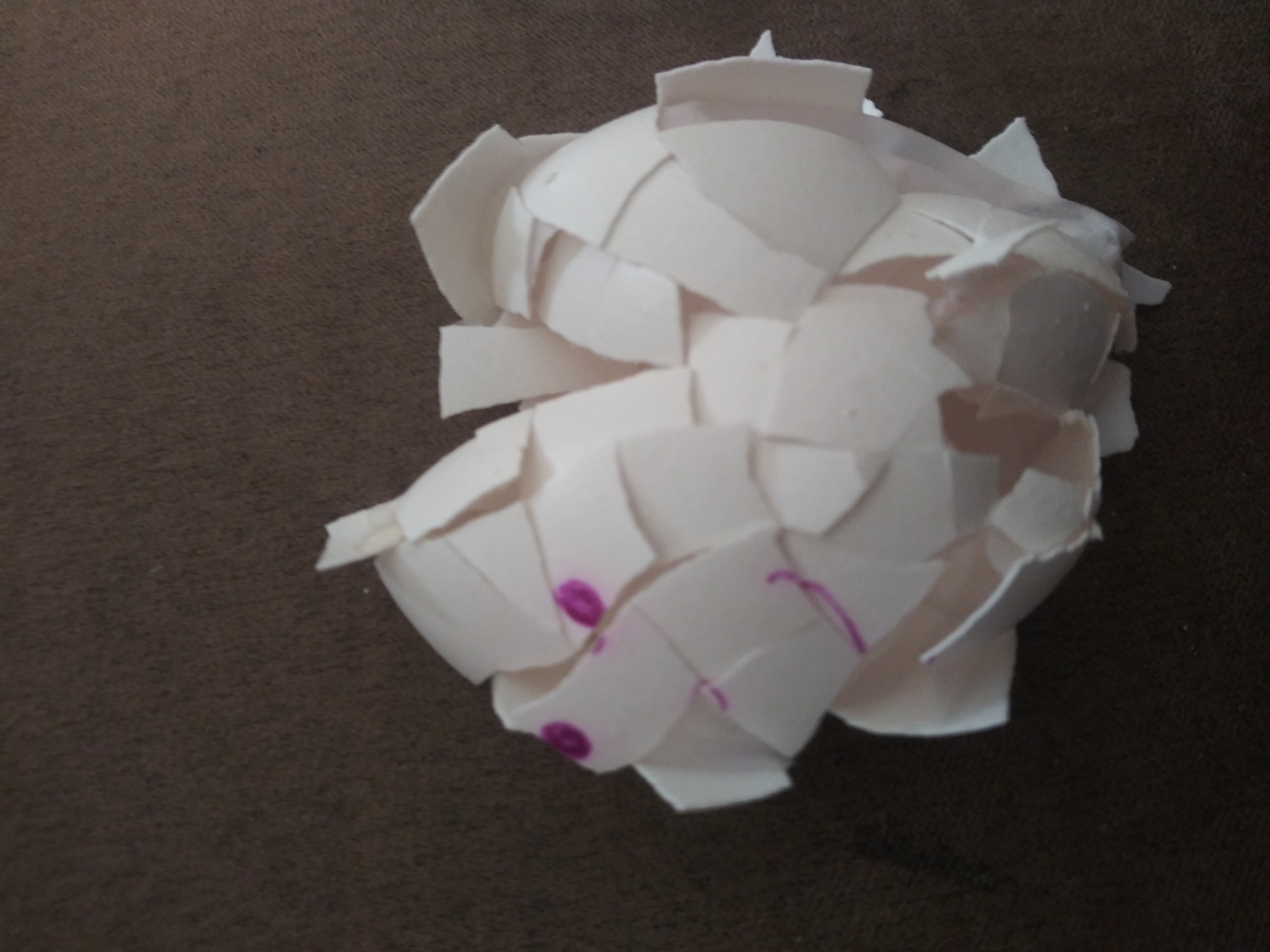 20190913_135517.jpg
