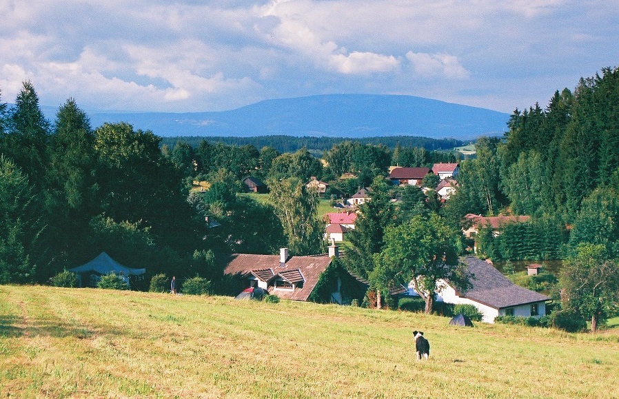 dusan_cista.jpg