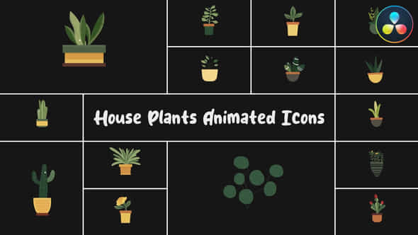 56673286-house-plants.jpg