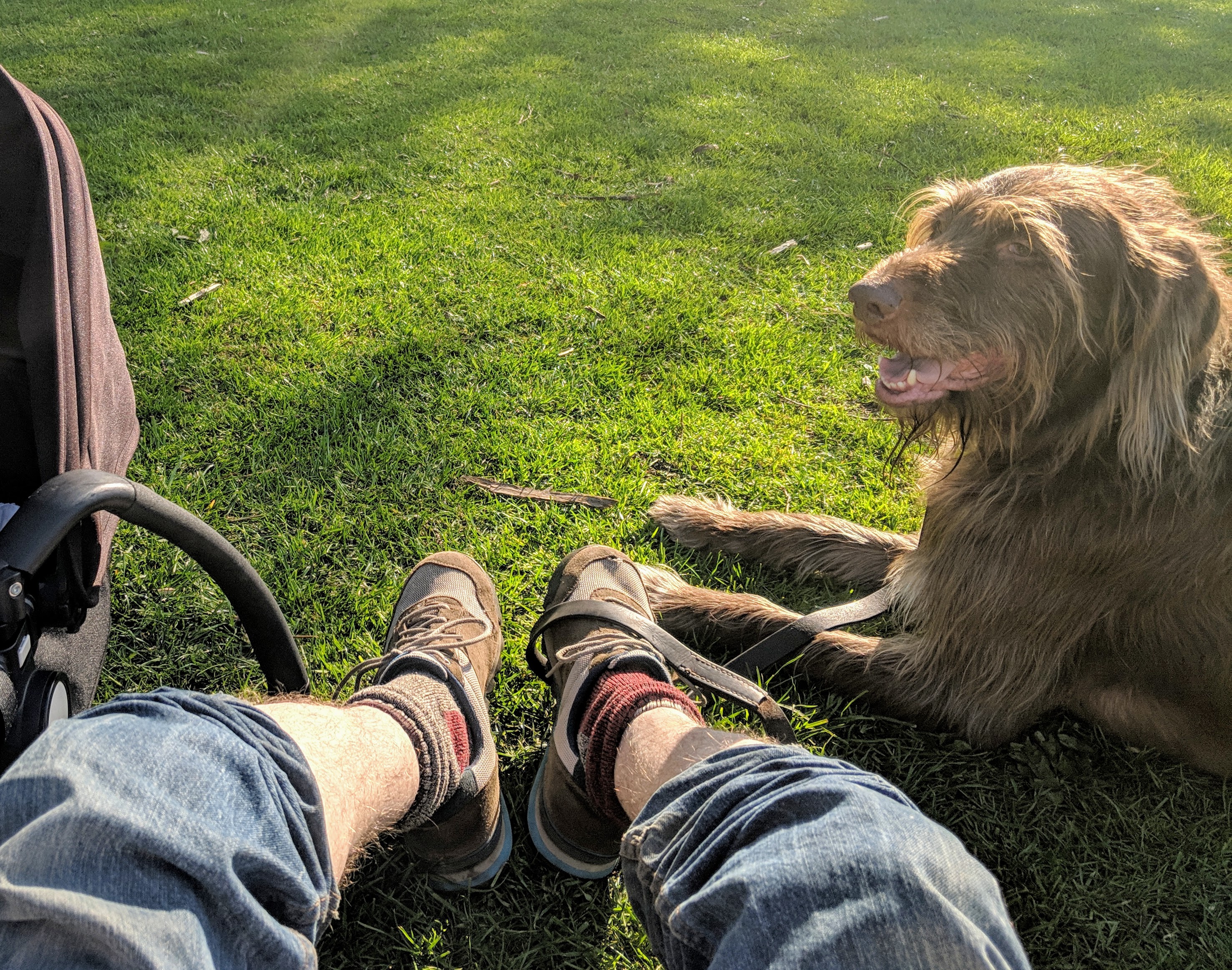 Hair of the dog