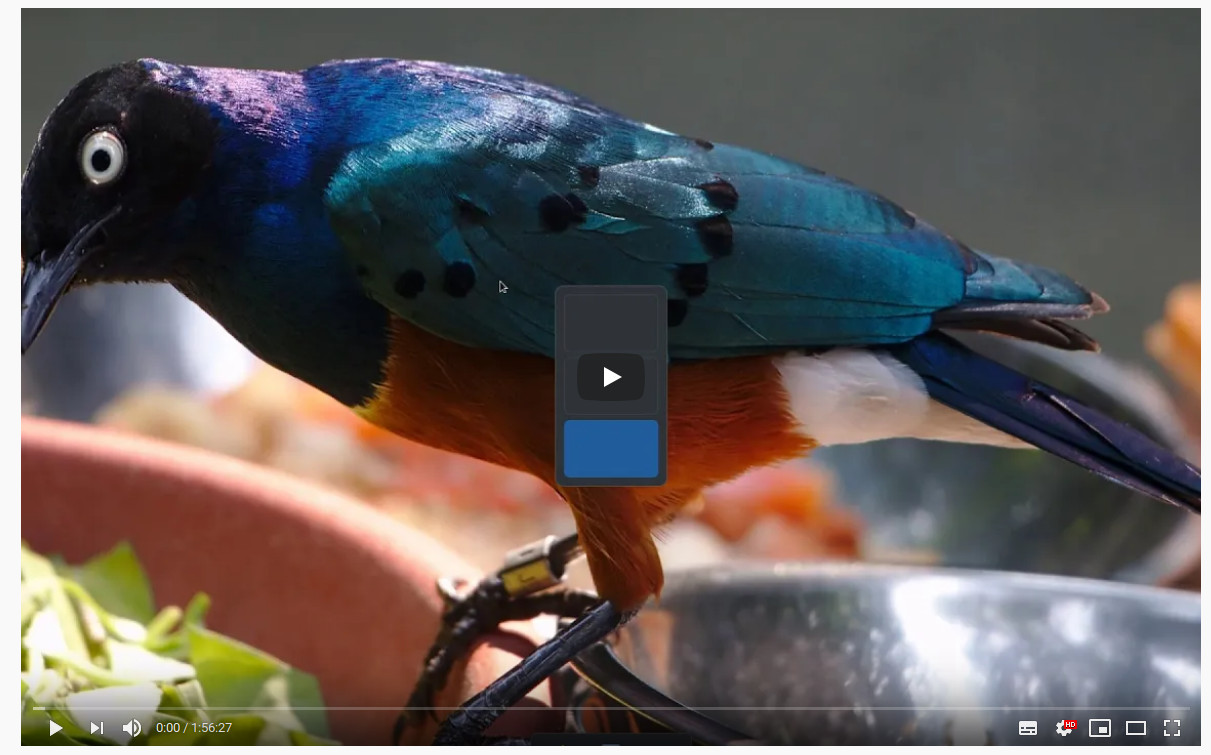 birb.jpg