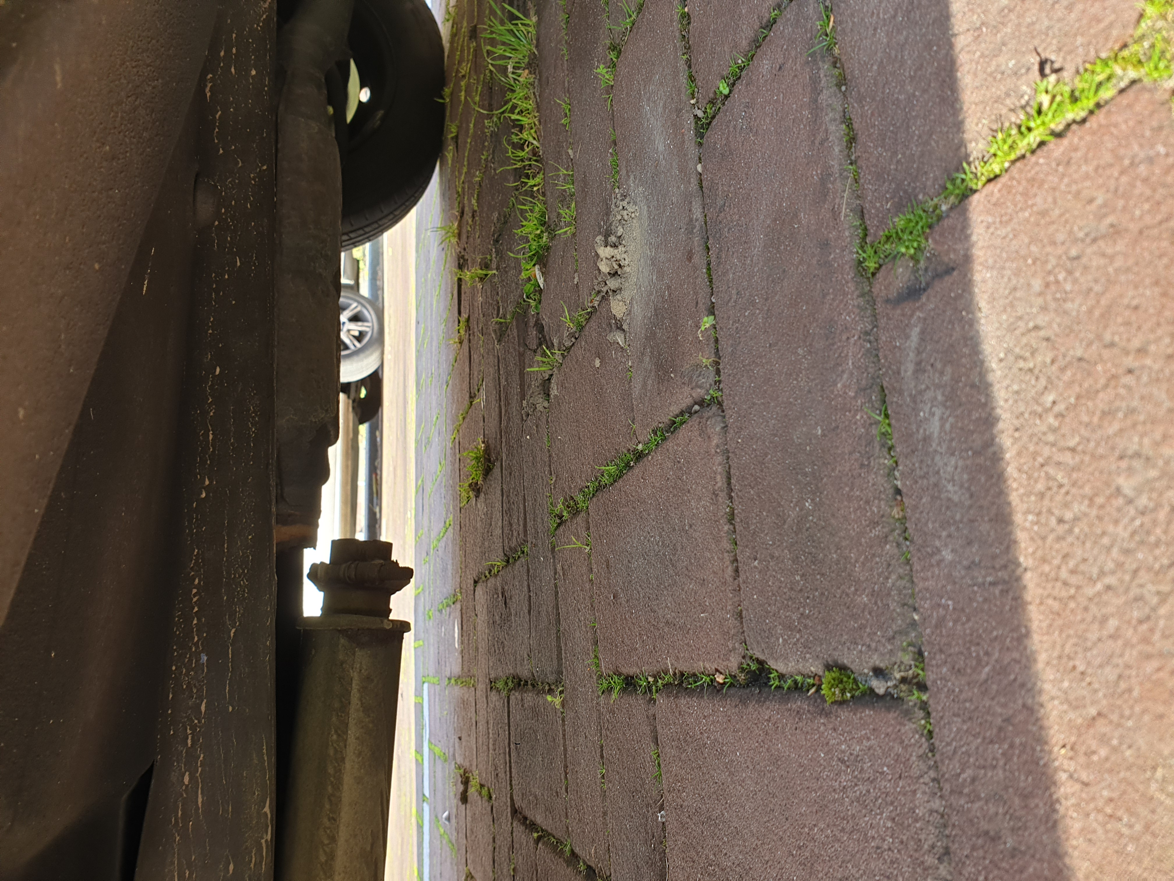 20191026_124538.jpg