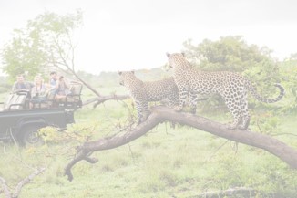 Kruger
