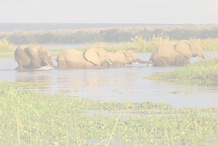 Okavango