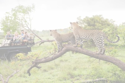 Kruger