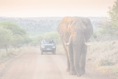 Kruger