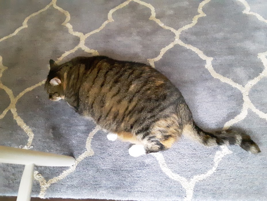 20191029_102351.jpg