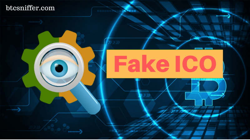 How to get familiar with fake Initial Coin Offerings?