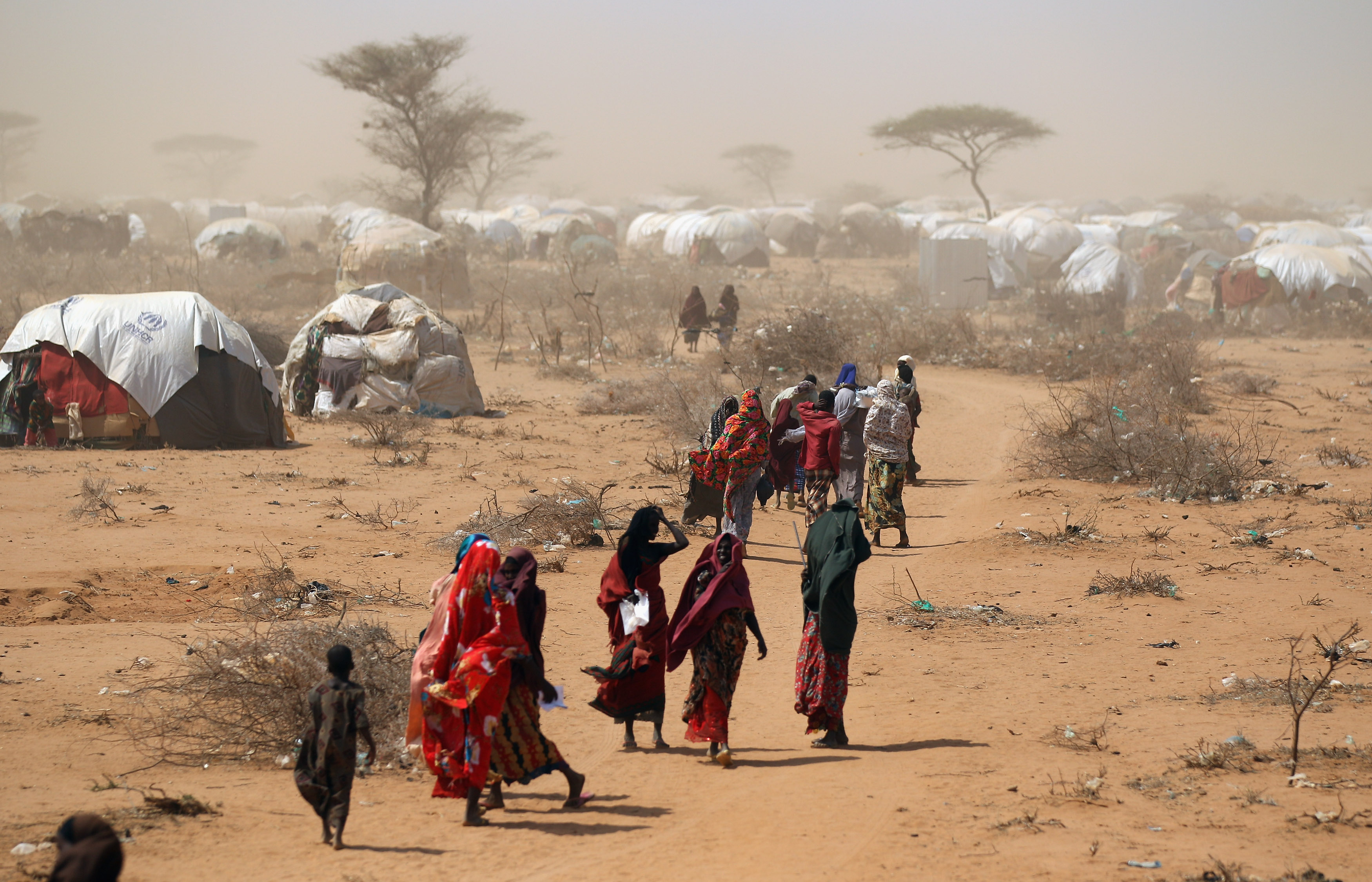 dadaab_topimage_1.jpg
