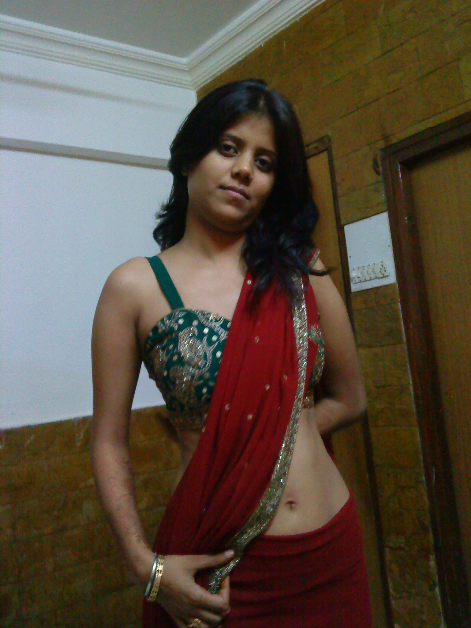 meinsaree3.JPG