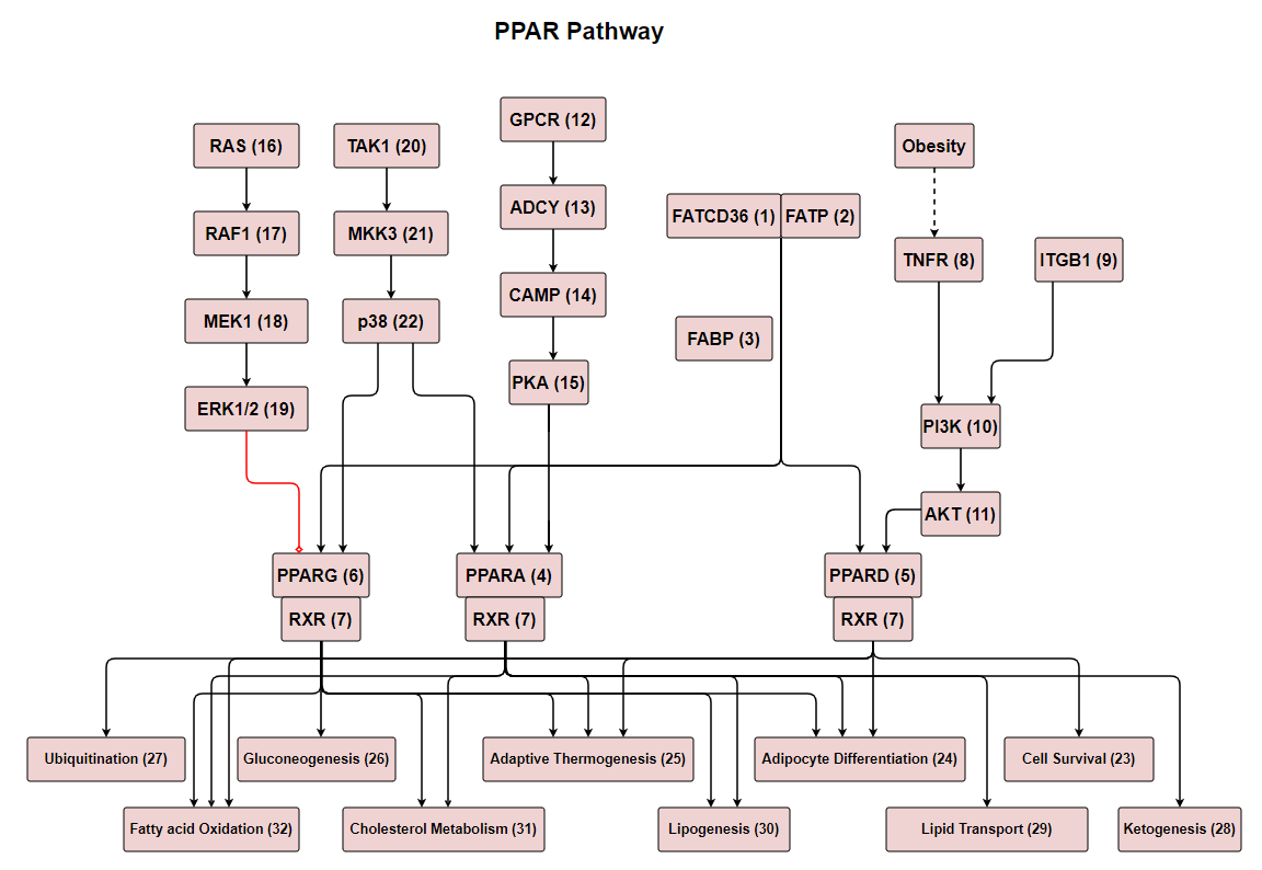 img1.PNG