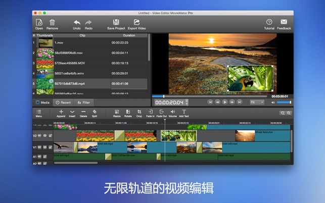剪大师Mac