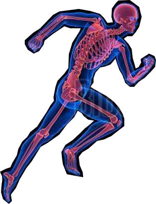 Contact Dr Mark Wotherspoon and Improve Your Athletic Career