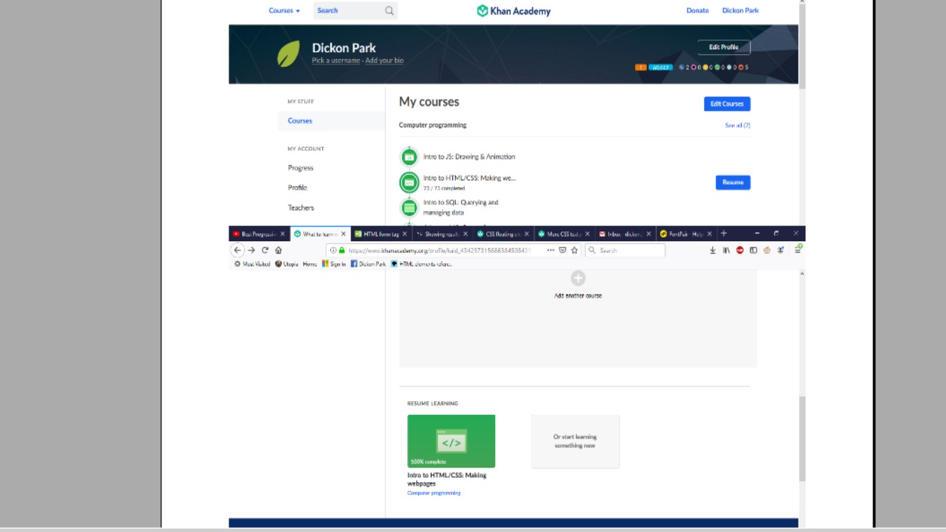Dickon Park Khan Academy Completed