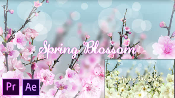 26320281-spring-blossom.jpg