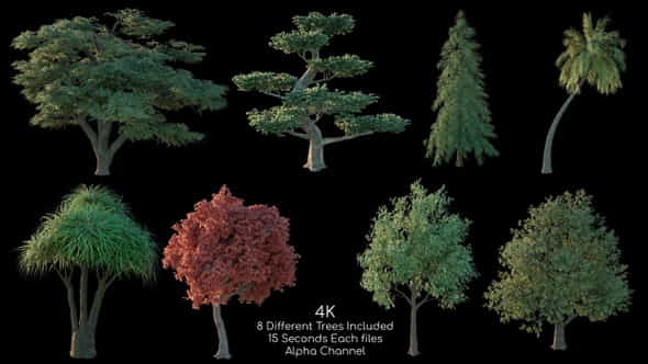 26355178-tree-pack.jpg