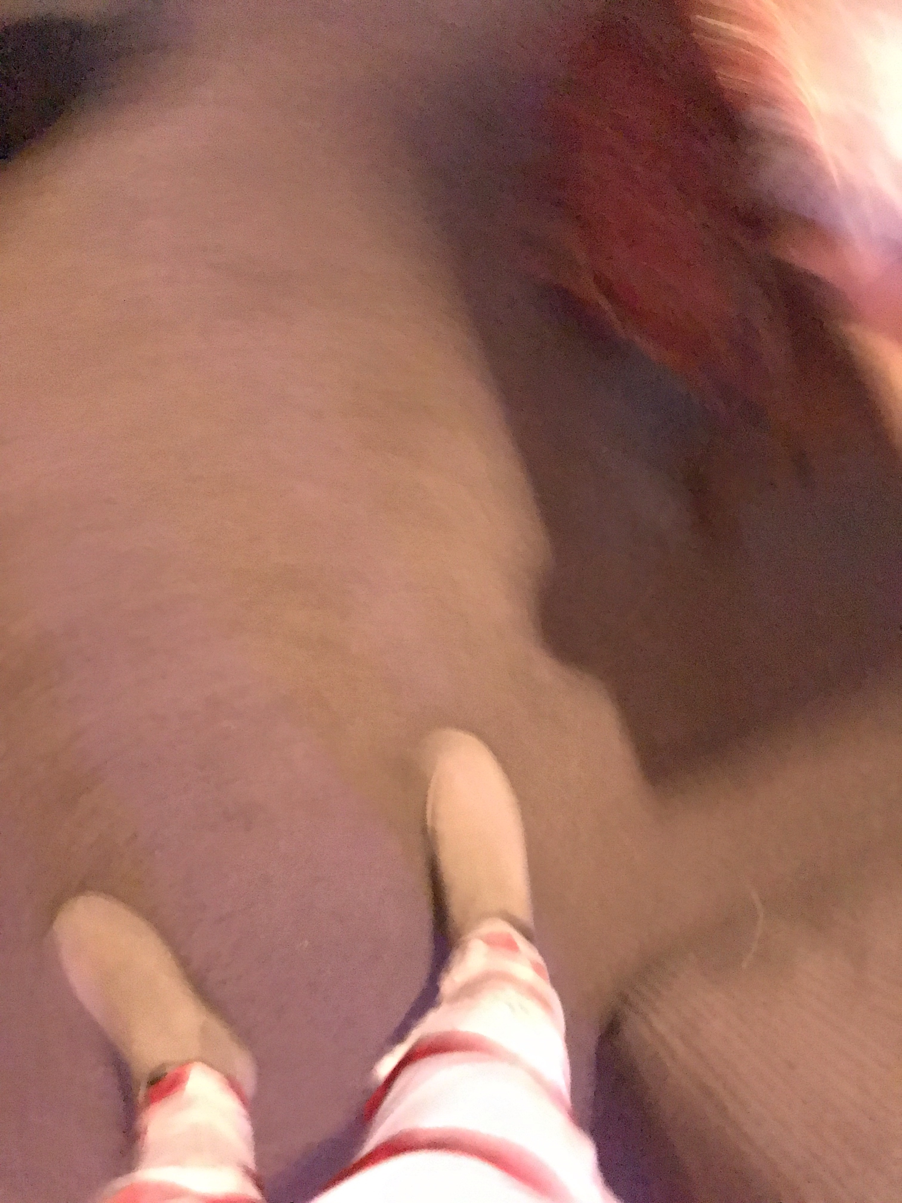 file.jpg