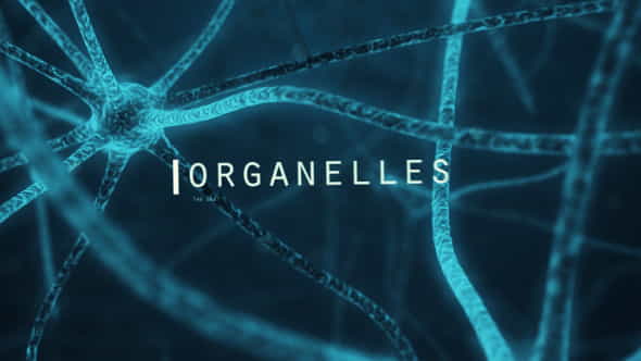 6247338-organic-cell.jpg