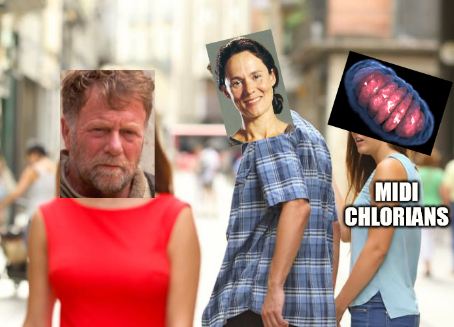 temp.JPG