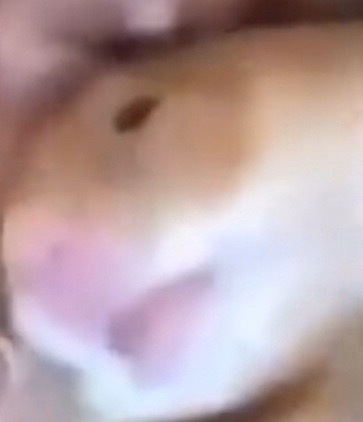 file.jpg