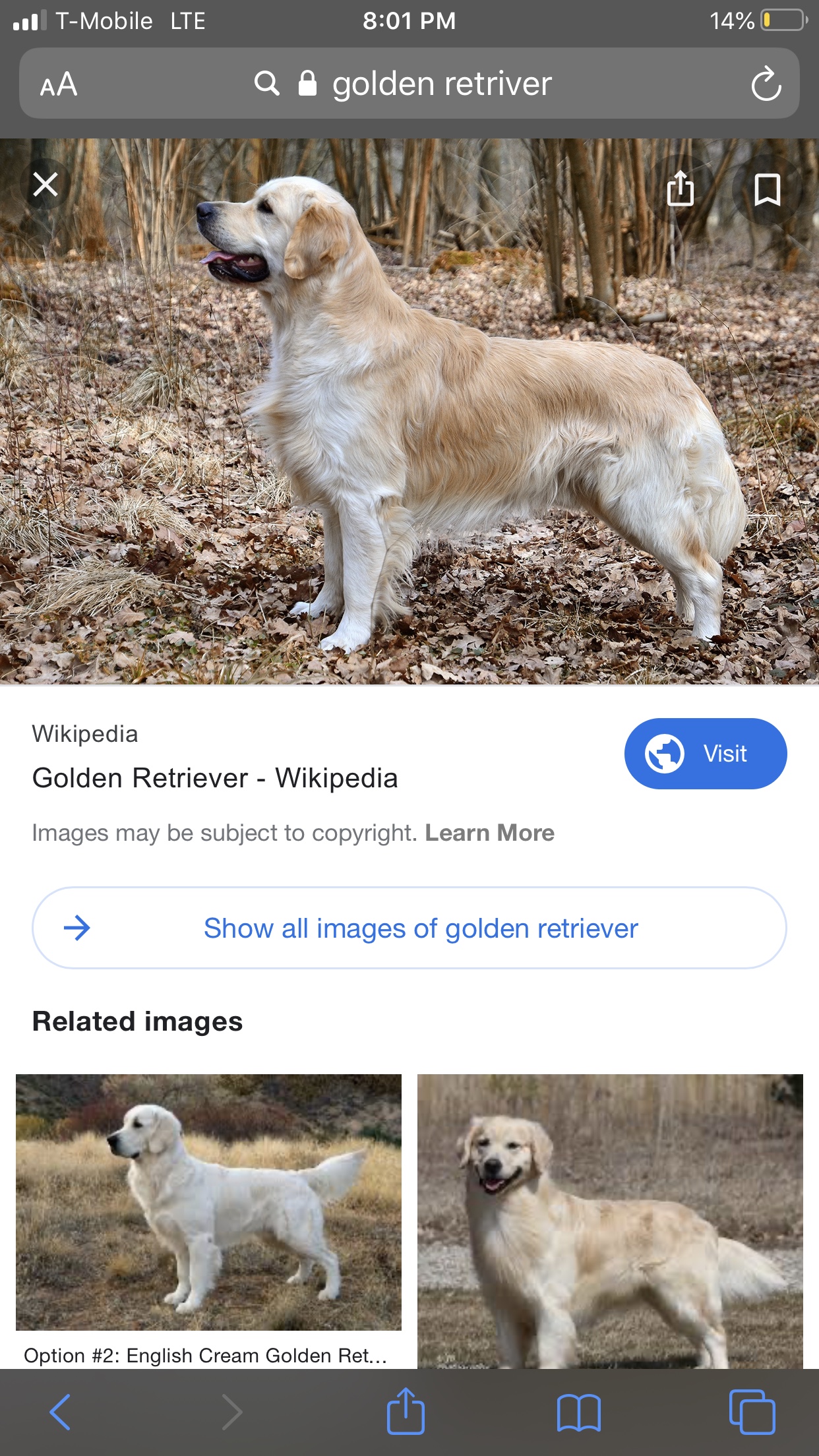 file.jpg