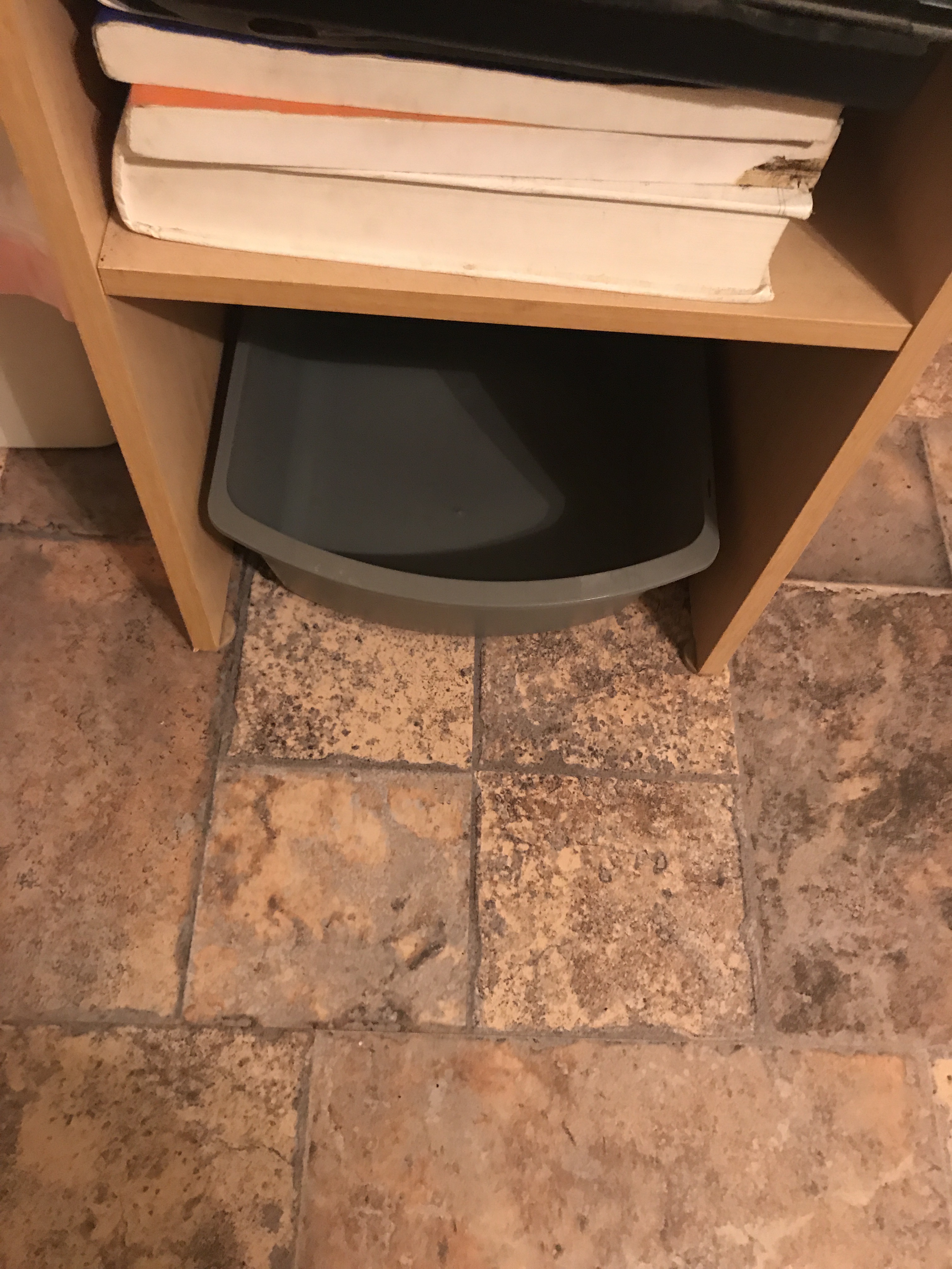 file.jpg