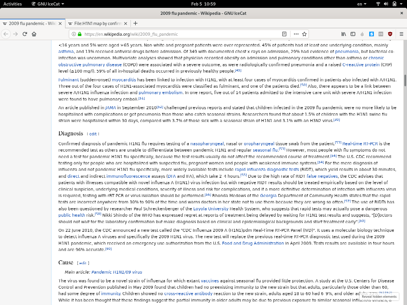 icecat font rendering bug