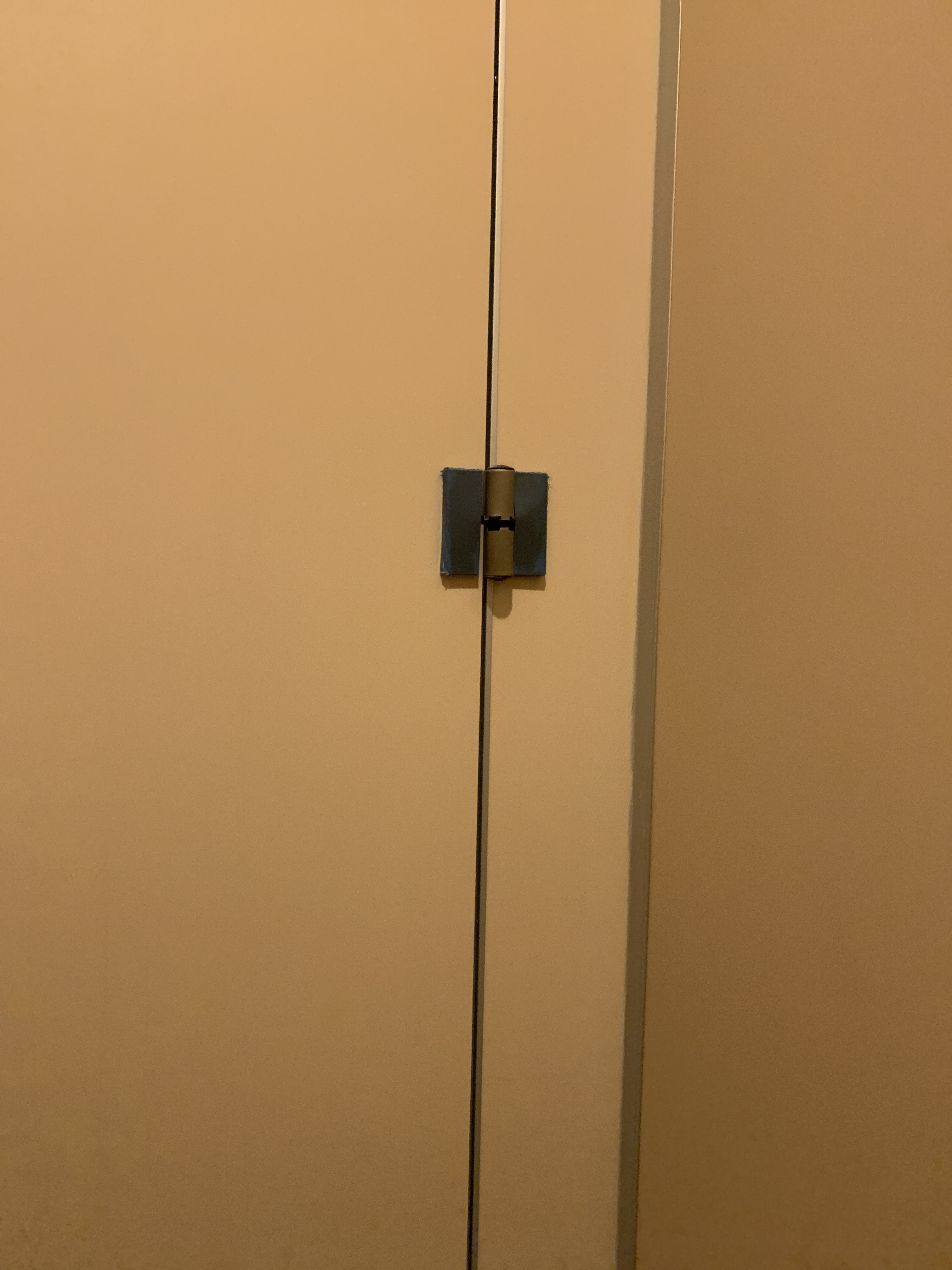 file.jpg