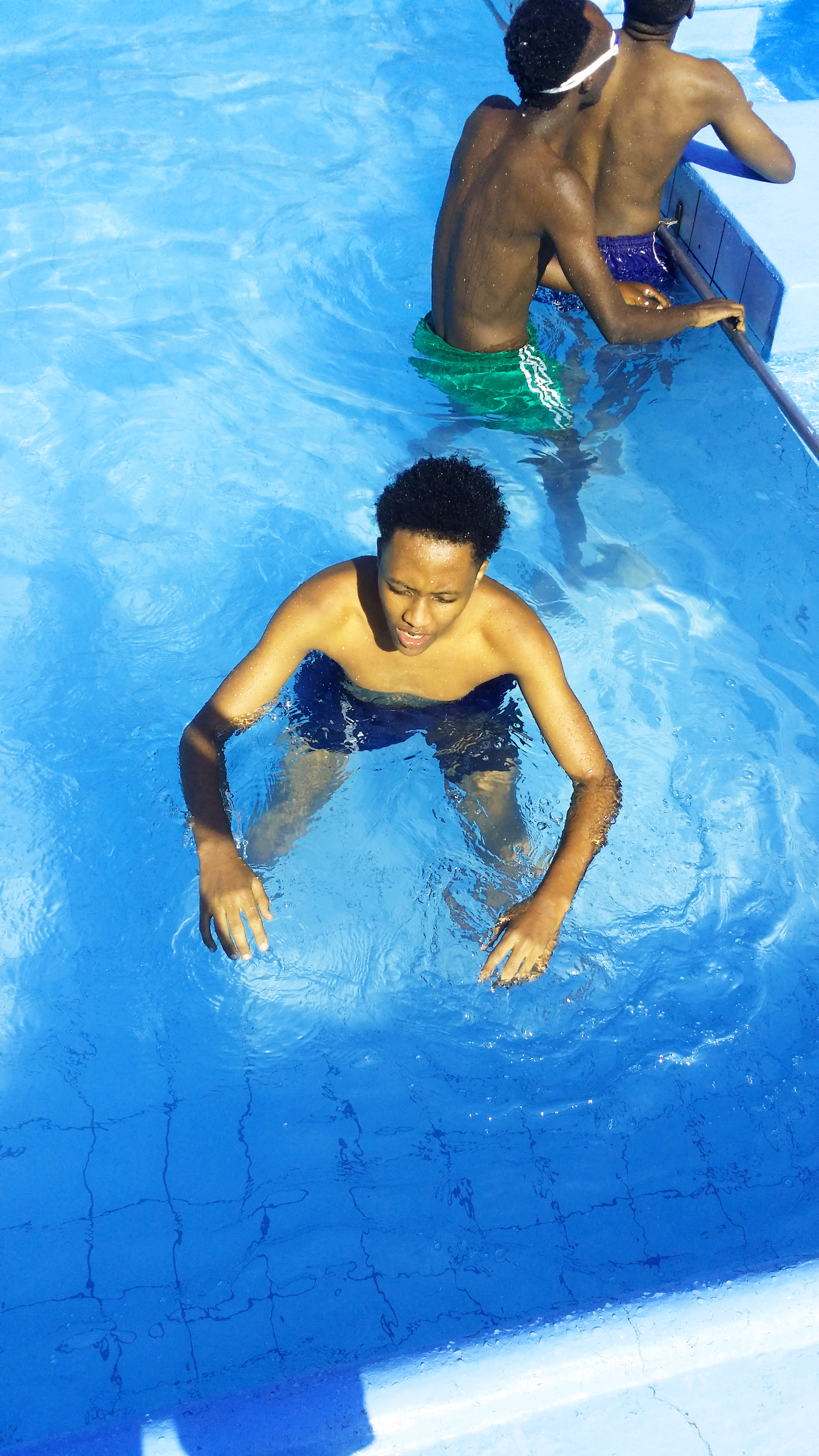 justin holarrhena