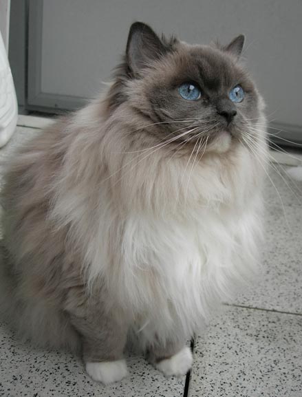 Annie2010.jpg