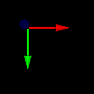 Inverted Image