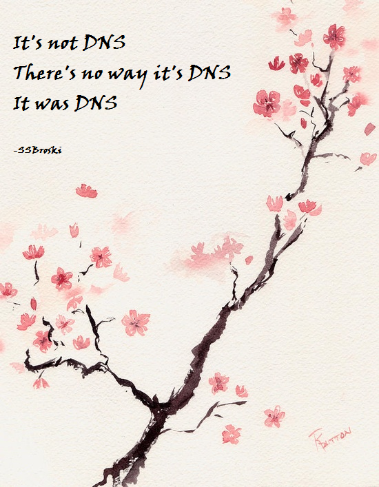 dns.png