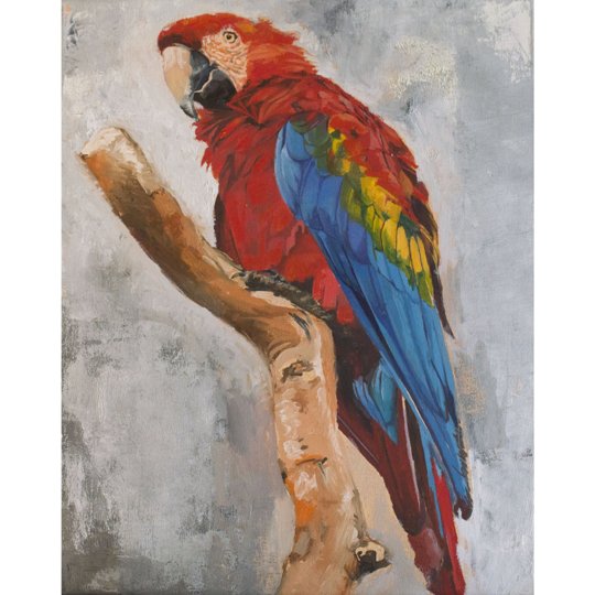 Macaw Bird Painting
