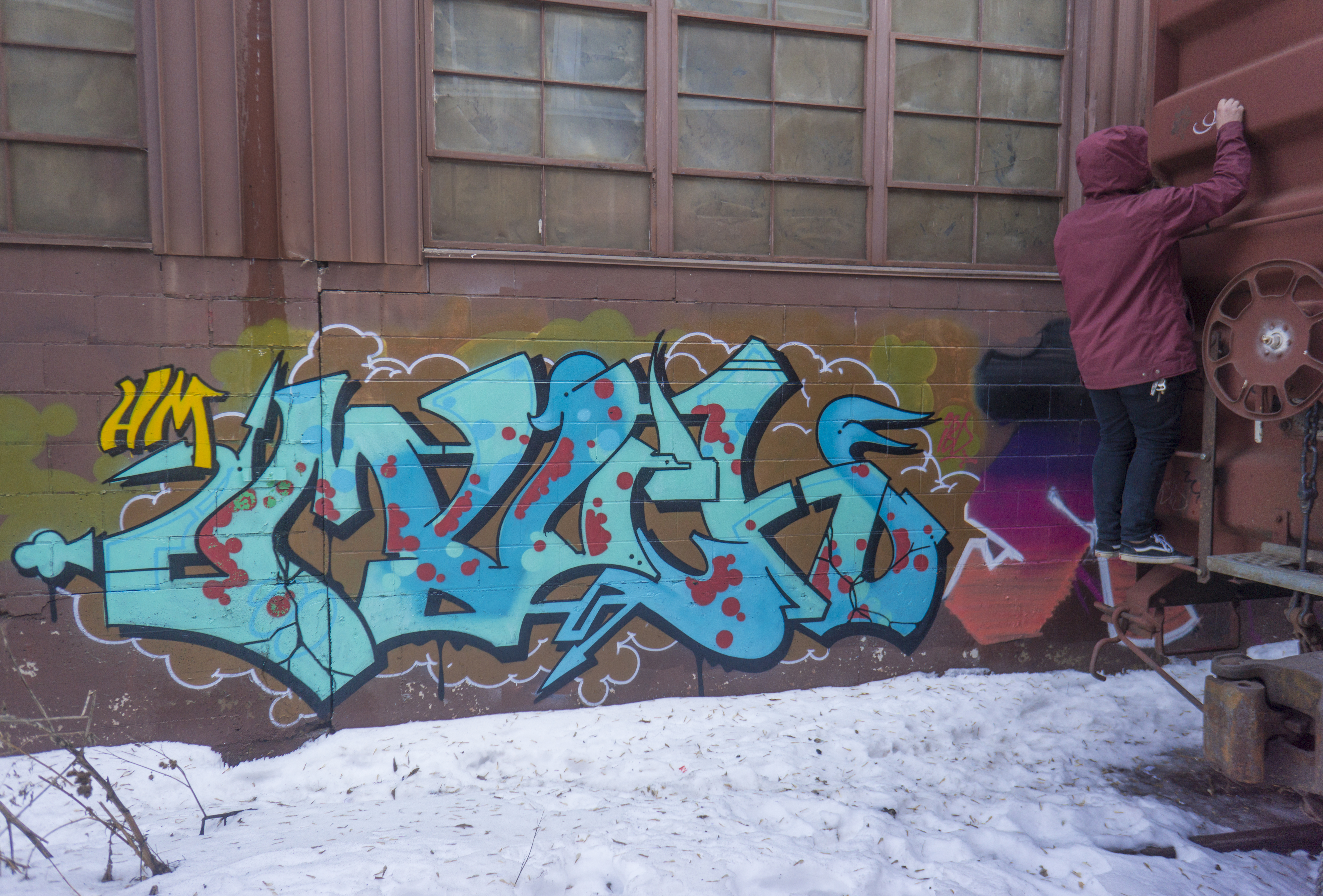DSC08511.jpg