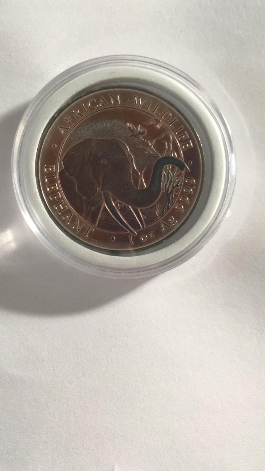 Toned Somalia Elephant 2018