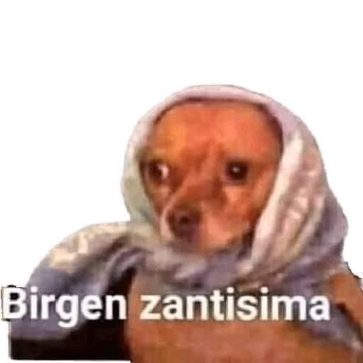 file.jpg