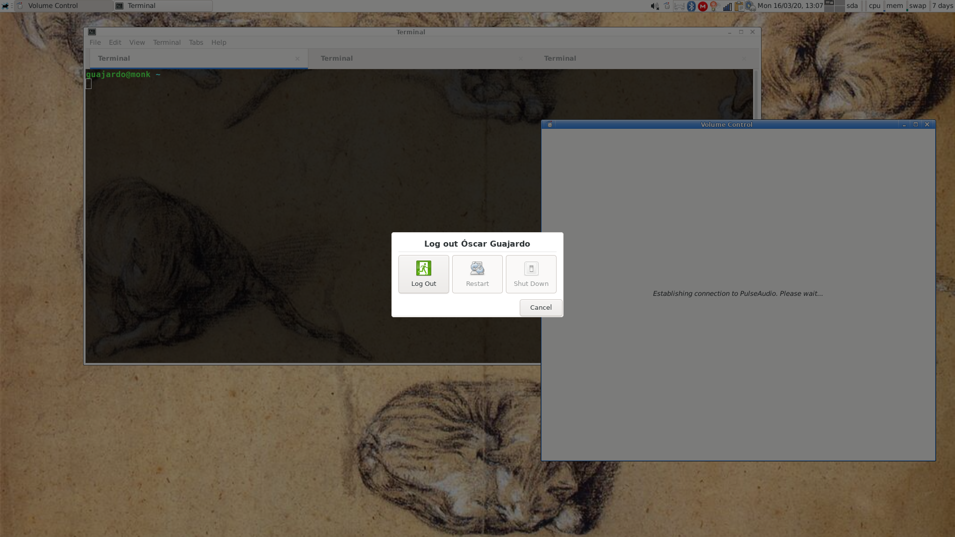Screencap of the issue