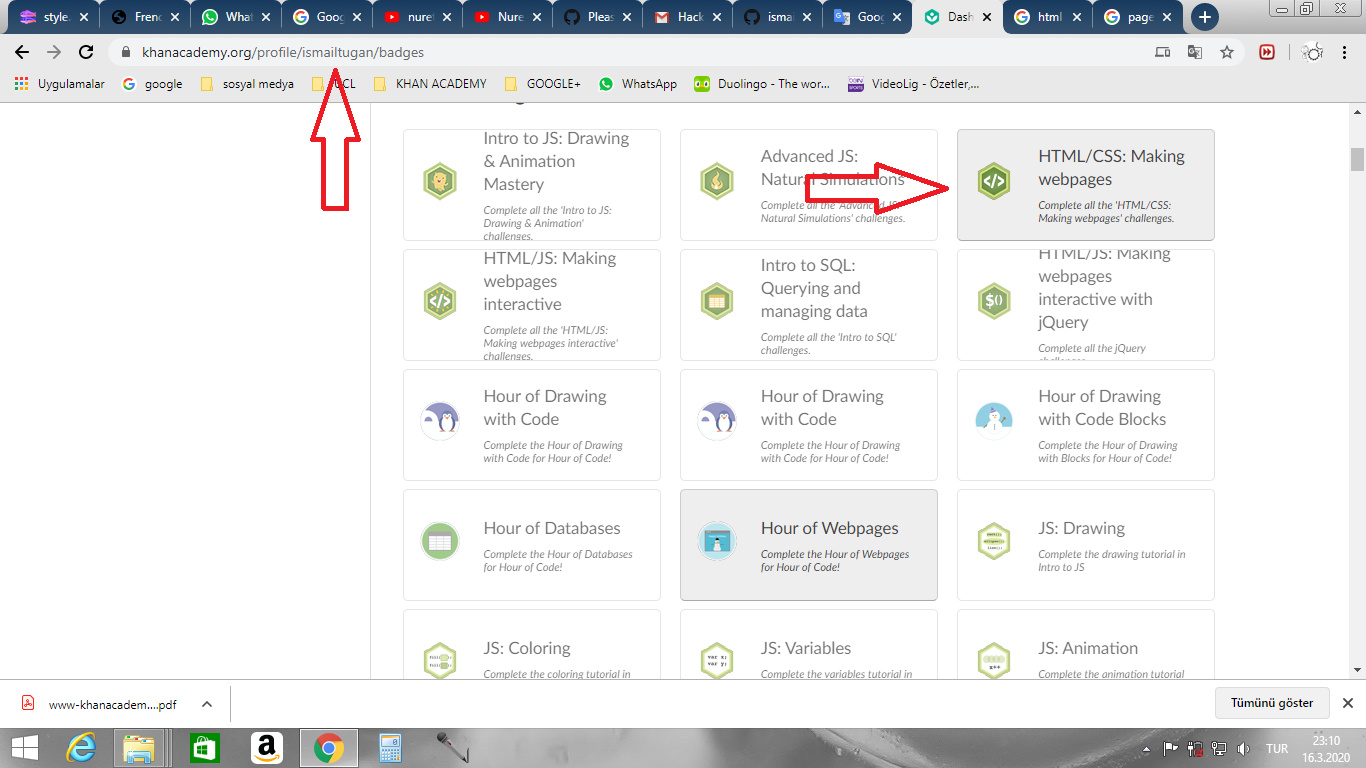 screenshot khan academy ismail tugan