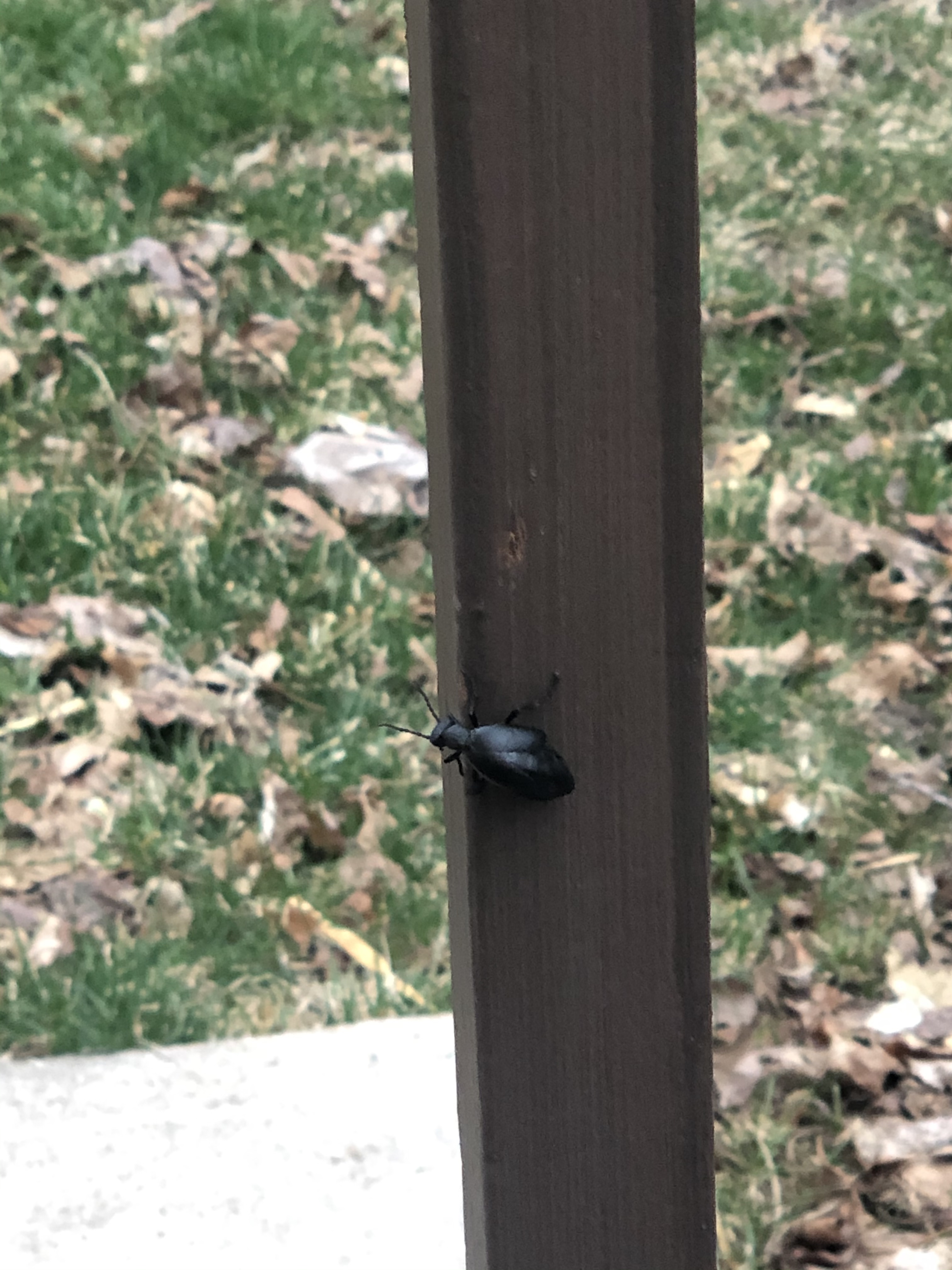 file.jpg
